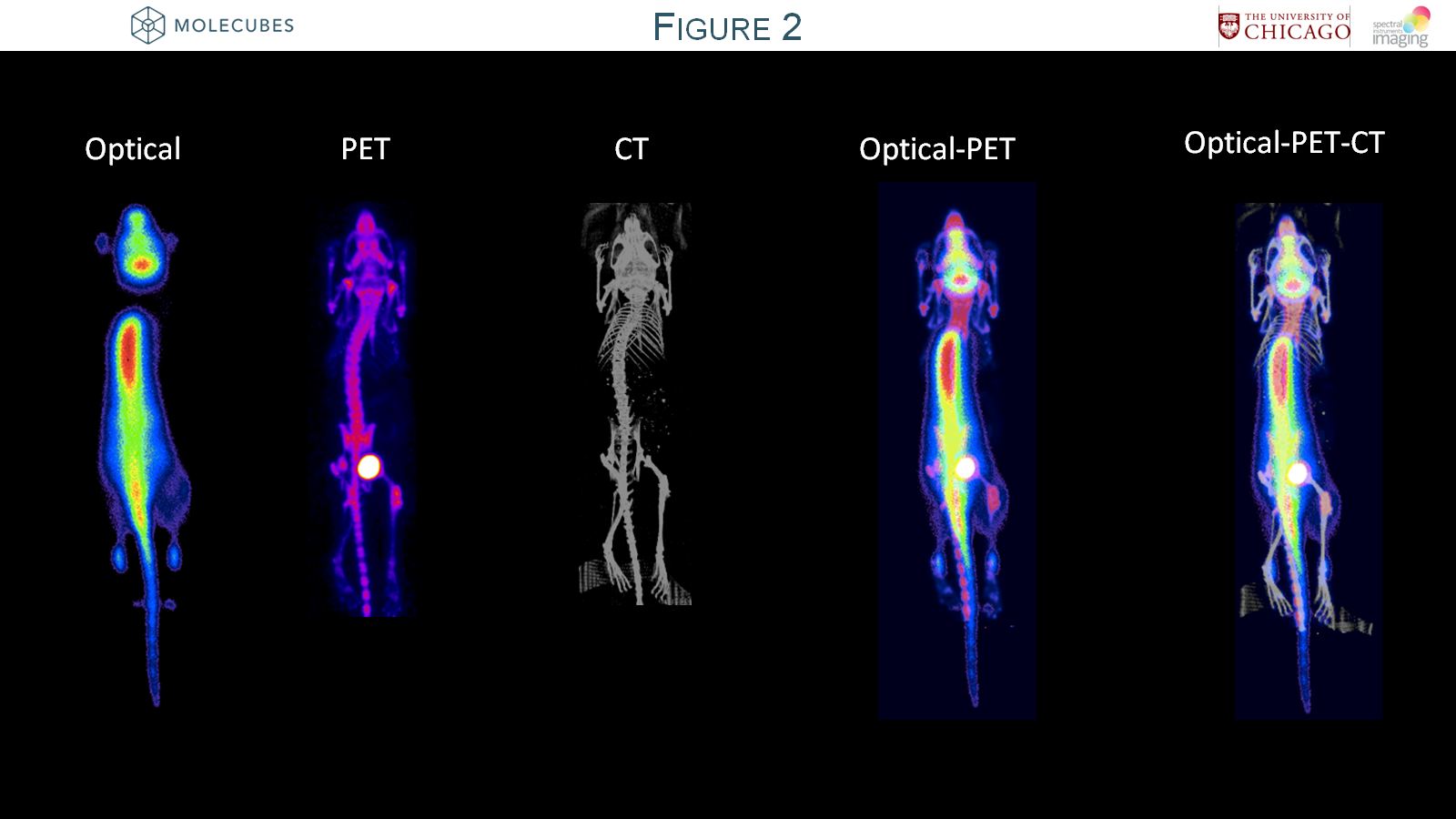 Optical-PET-CT.png