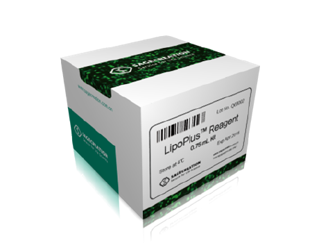 Sage LipoPlus ® DNA轉(zhuǎn)染試劑