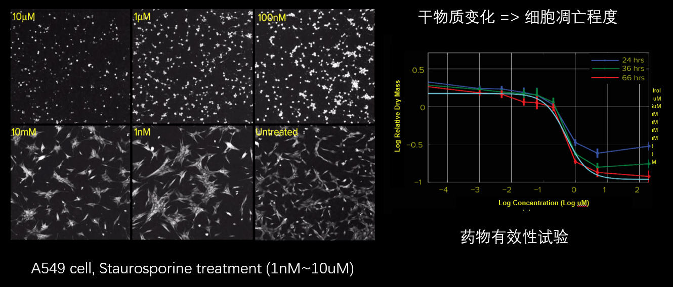 5、細(xì)胞毒性分析.png