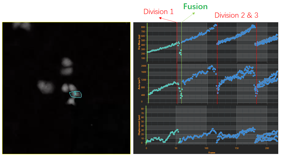 2、細胞譜系研究-2.png