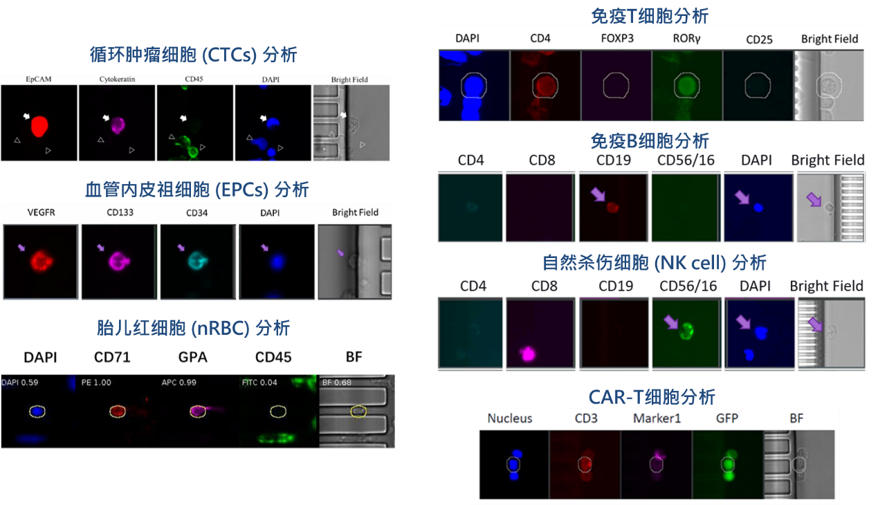 1、各類稀有細(xì)胞檢測(cè)分析.png