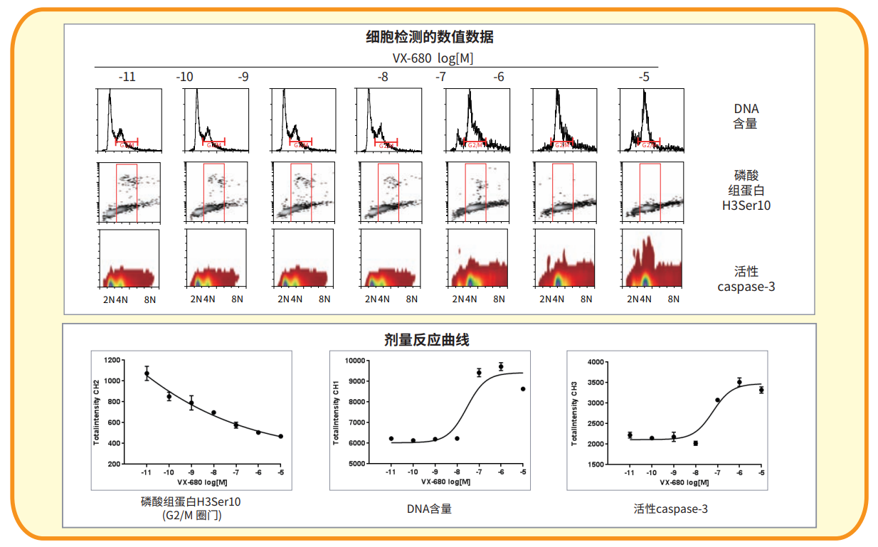 應(yīng)用8 細胞周期分析.png