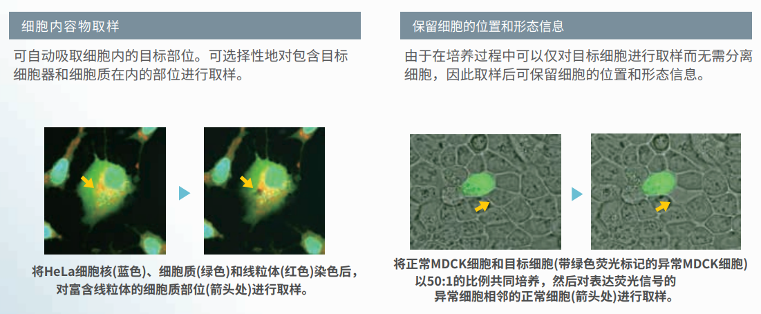 核心技術(shù)-1.png