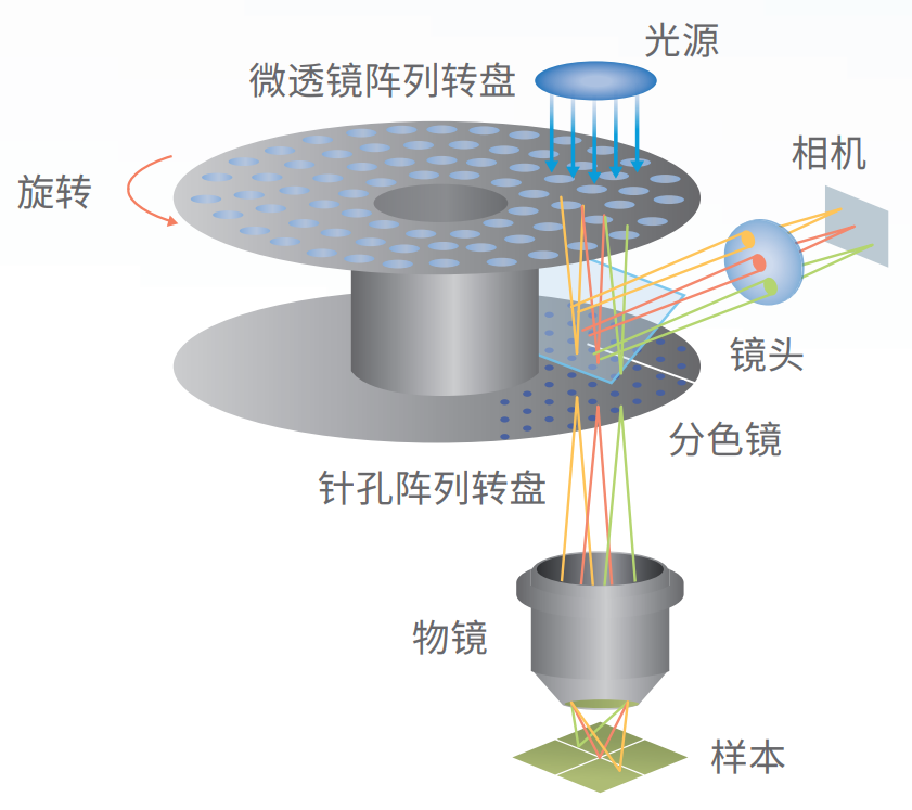 雙轉(zhuǎn)盤.png