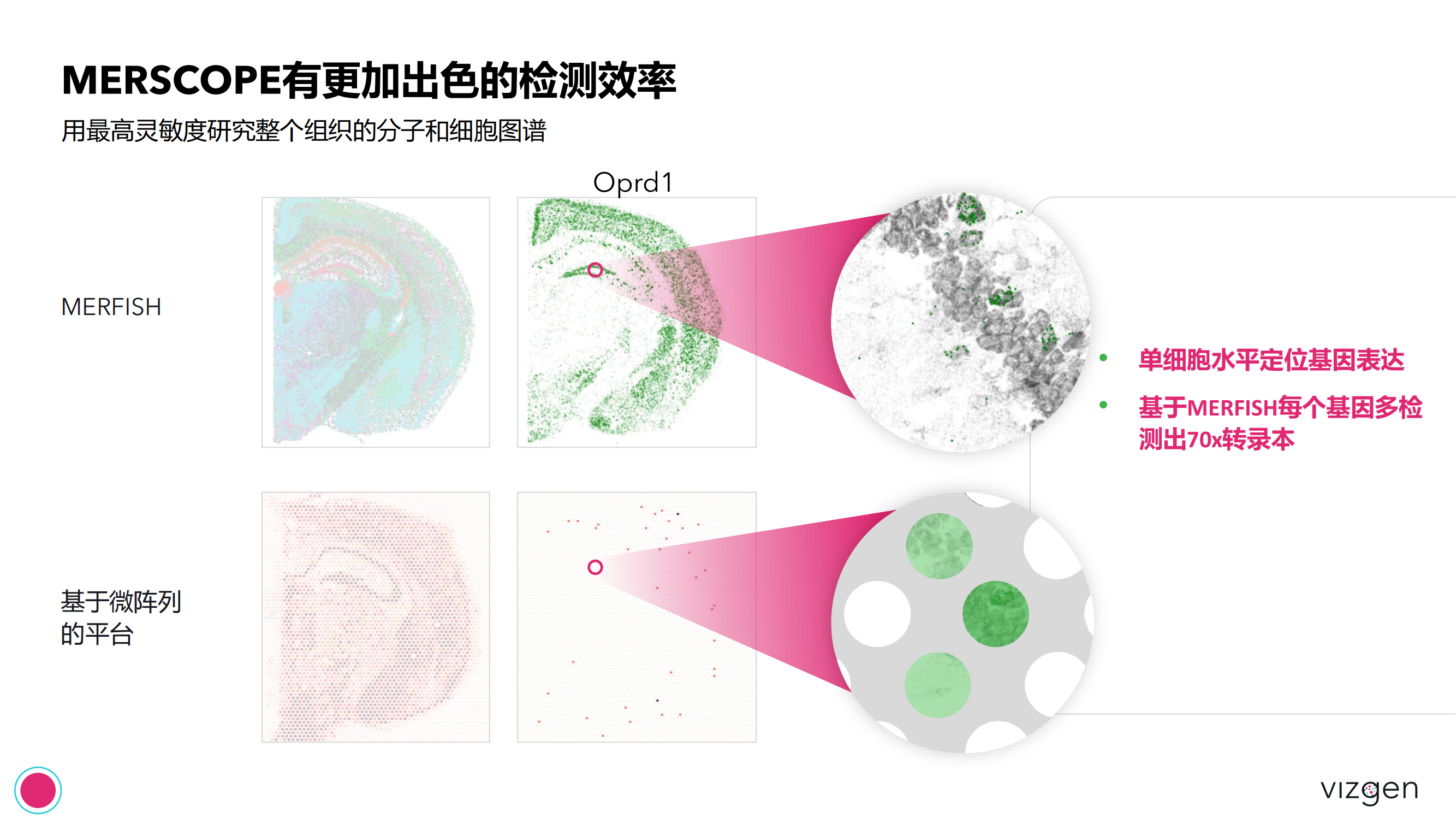 Vizgen intro deck（森西賽智） 20240314(1)_21.png