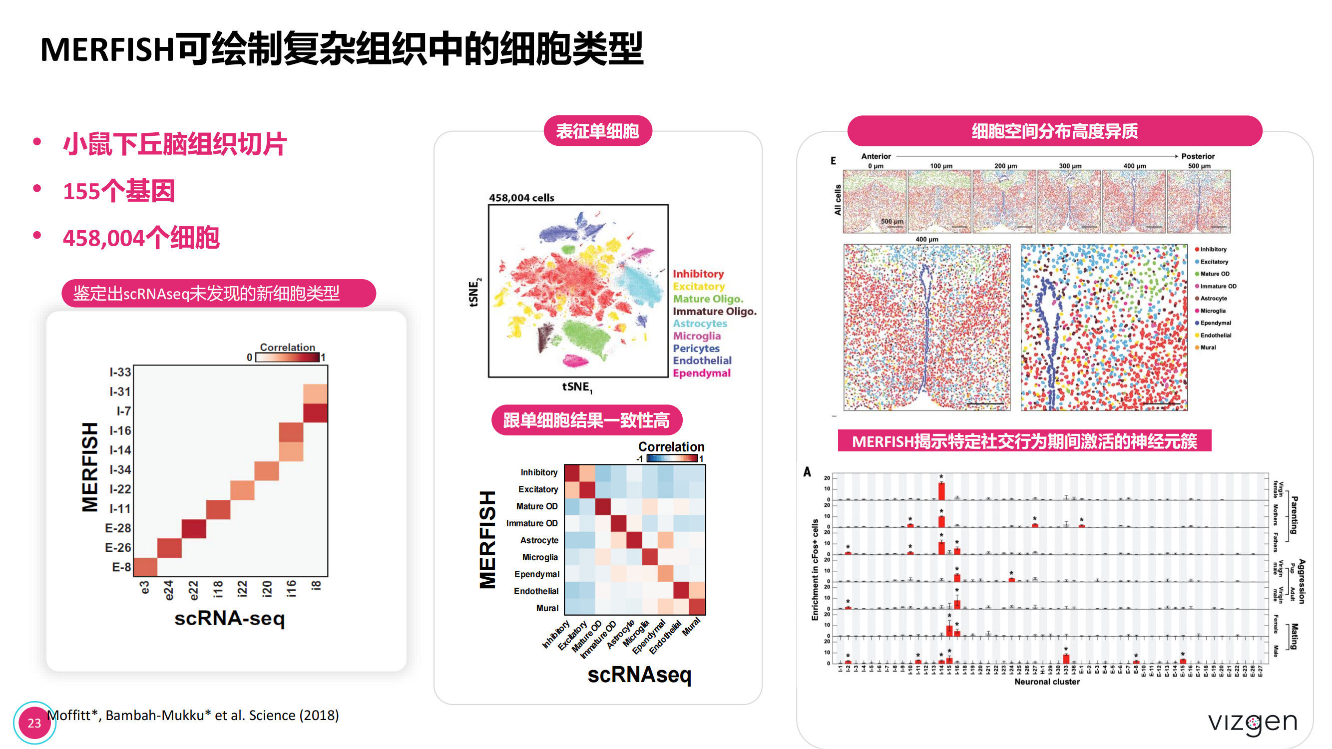 Vizgen intro deck（森西賽智） 20240314(1)_22.png